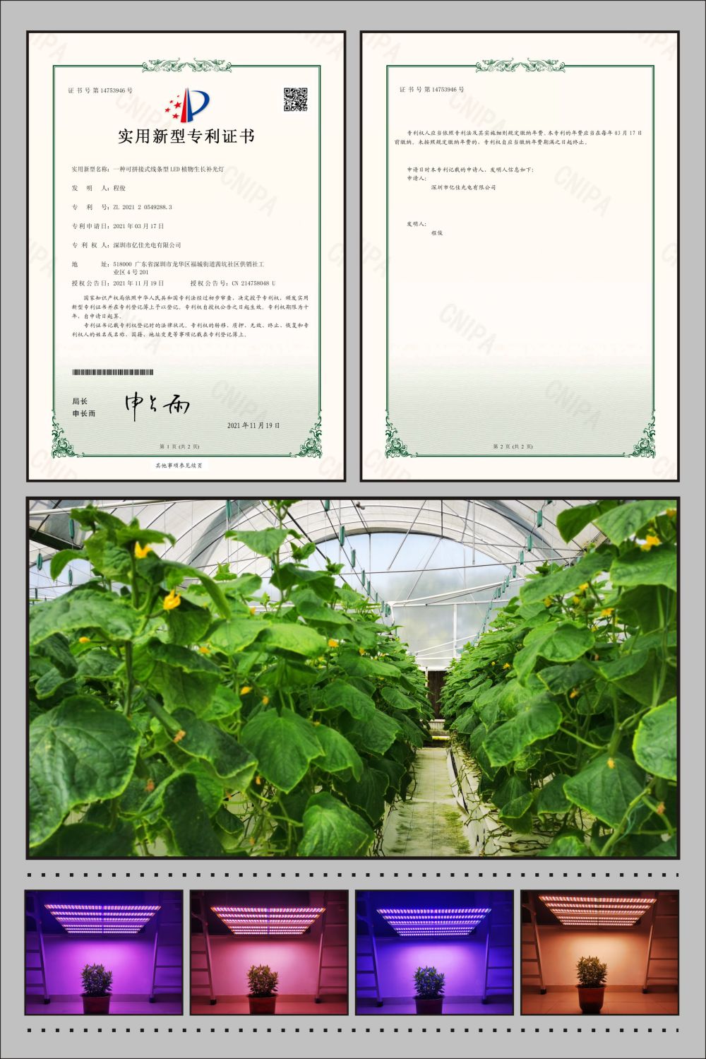 億佳植物農場燈實用新型專利