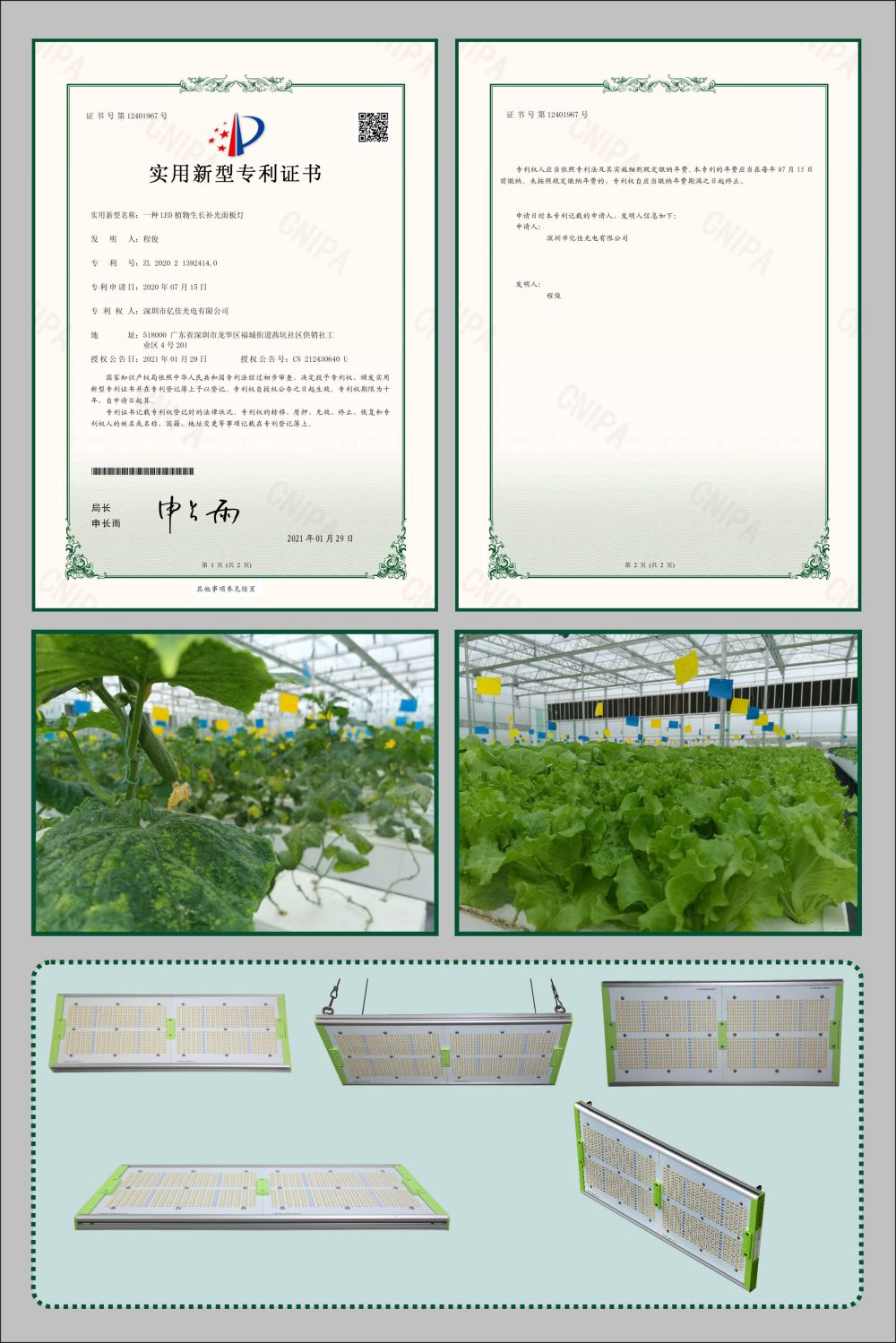 億佳植物生長面板燈實用新型專利