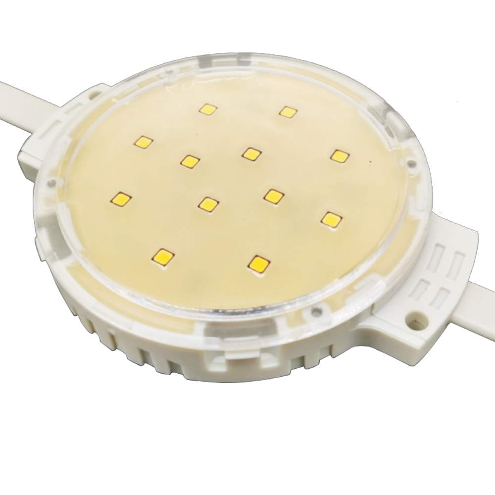 80mm 12 SMD LED 點光源